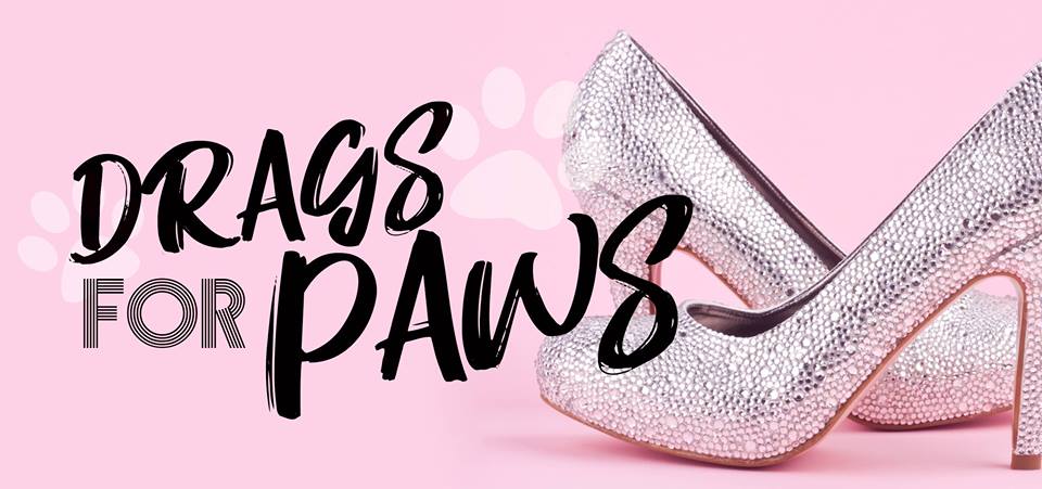 graphic - drags for paws banner ad