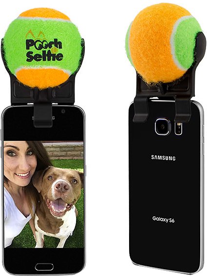 Pooch-Selfie-Dog