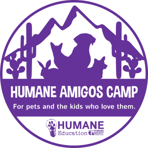 2020 Camp Logo- Purple