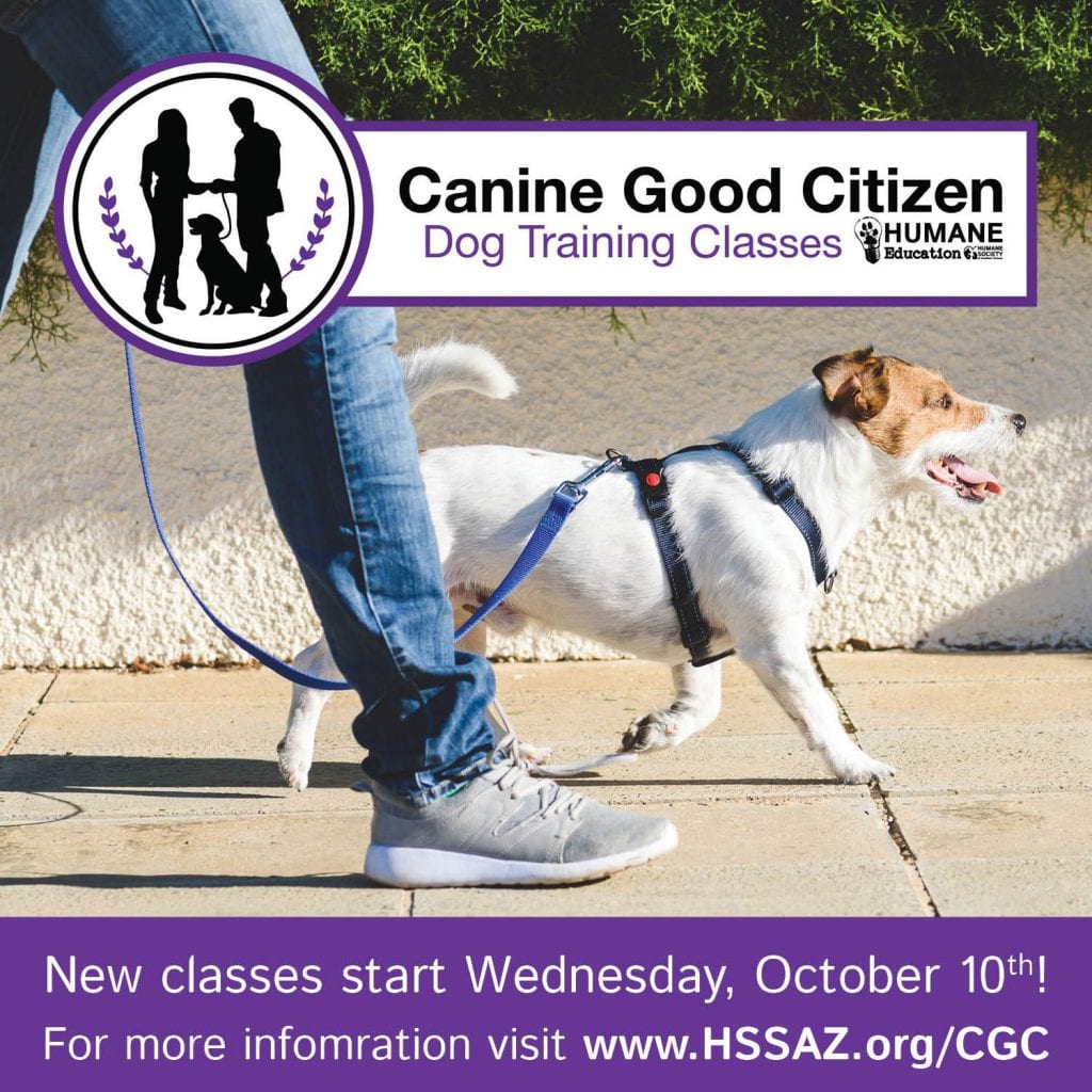 Canine Good Citizen Training