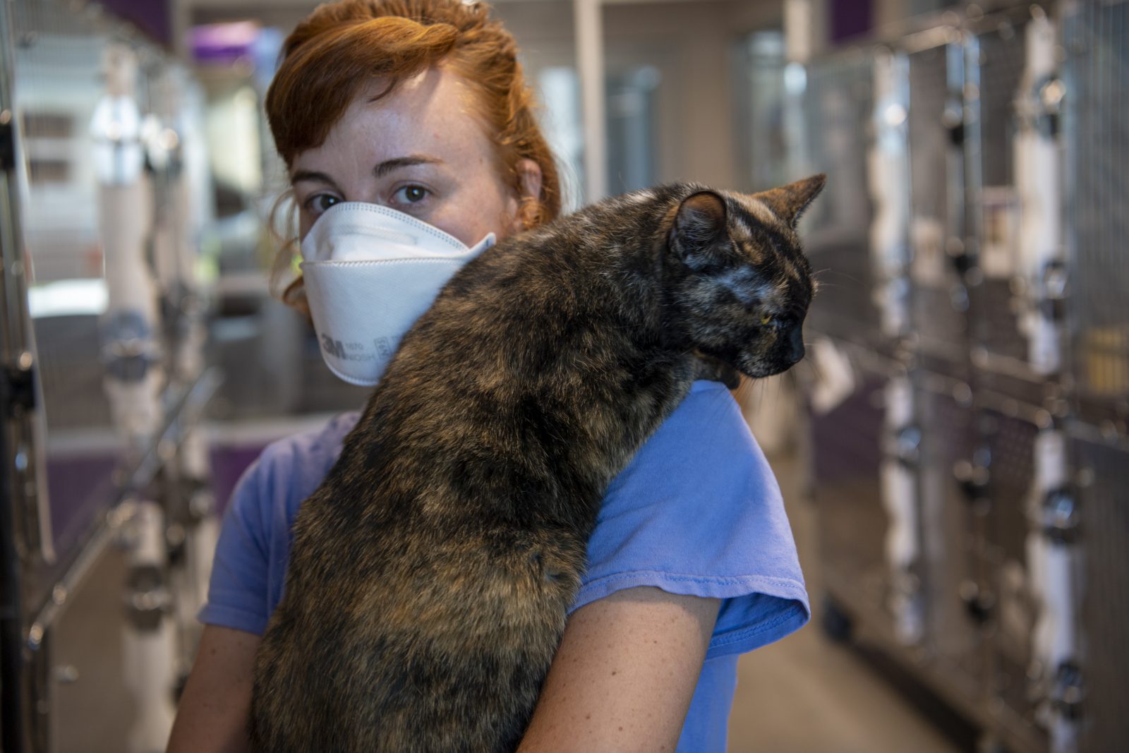 Shelter Life During A Pandemic | Humane Society of Southern Arizona