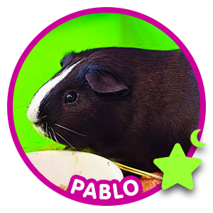 Pablo1