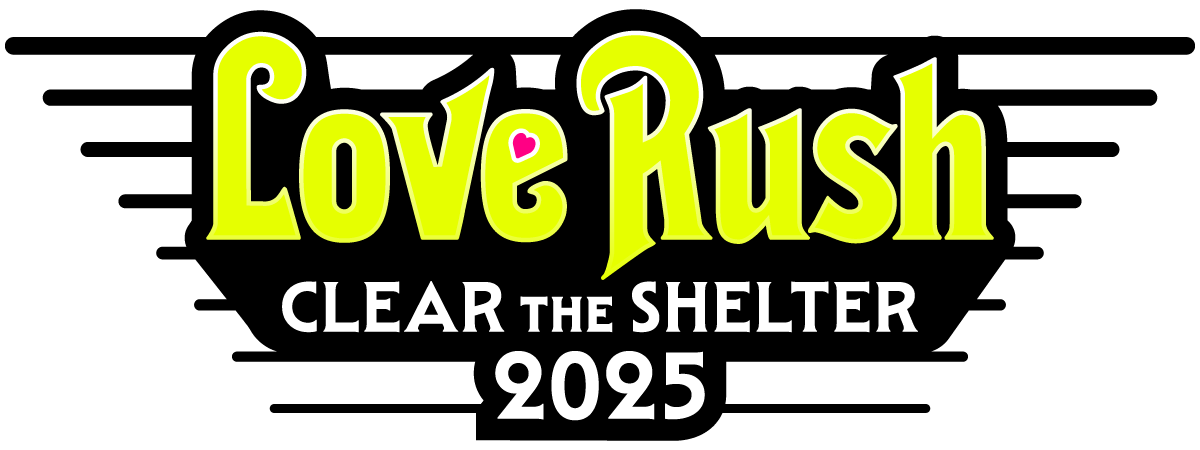 Love Rush Logo