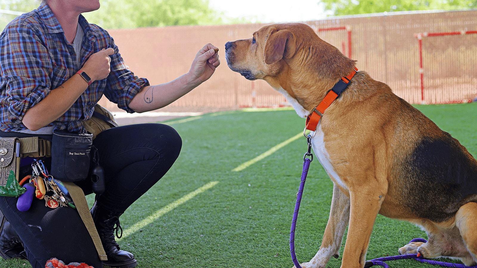 Training_FrontPage1_w