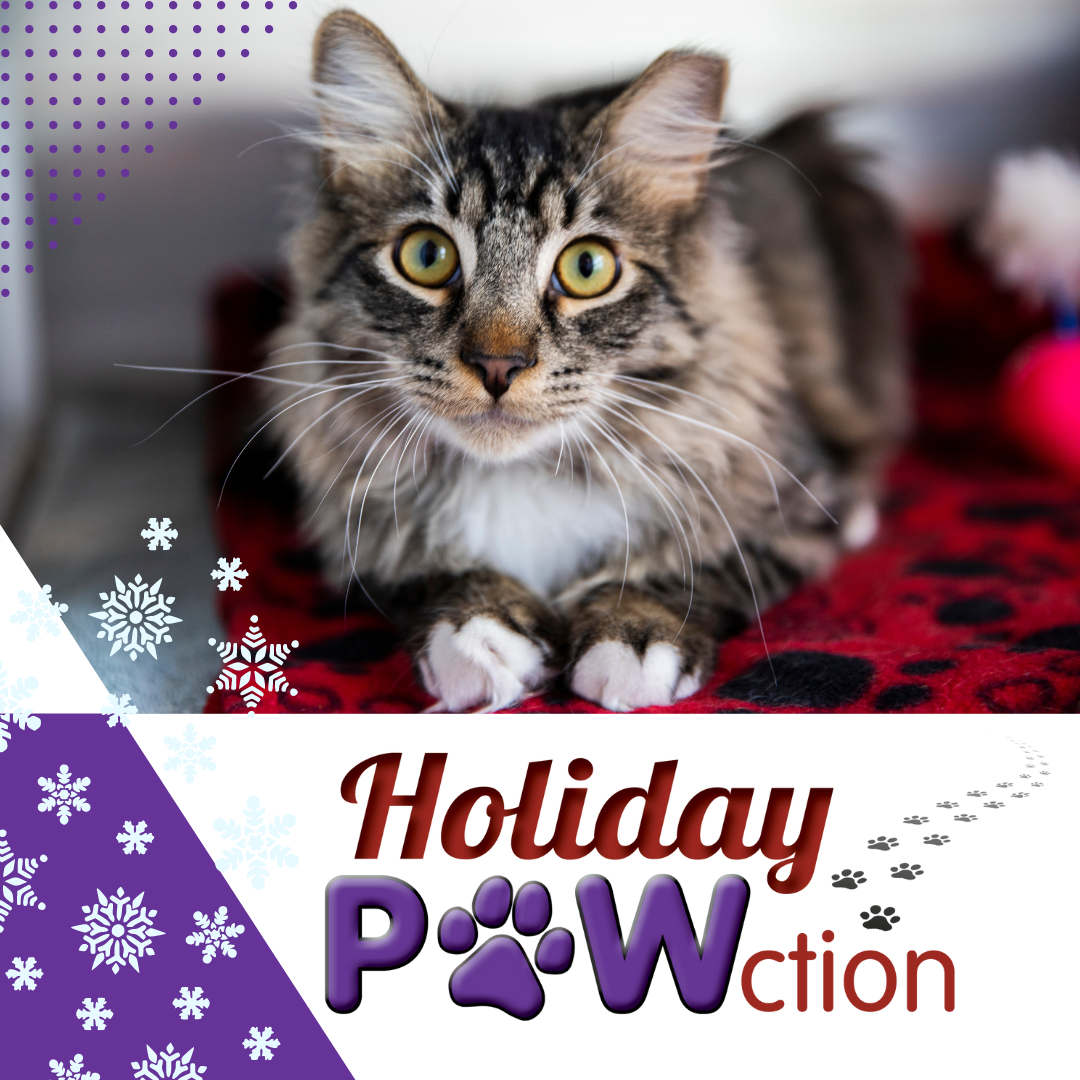 Holiday PAWction Posts